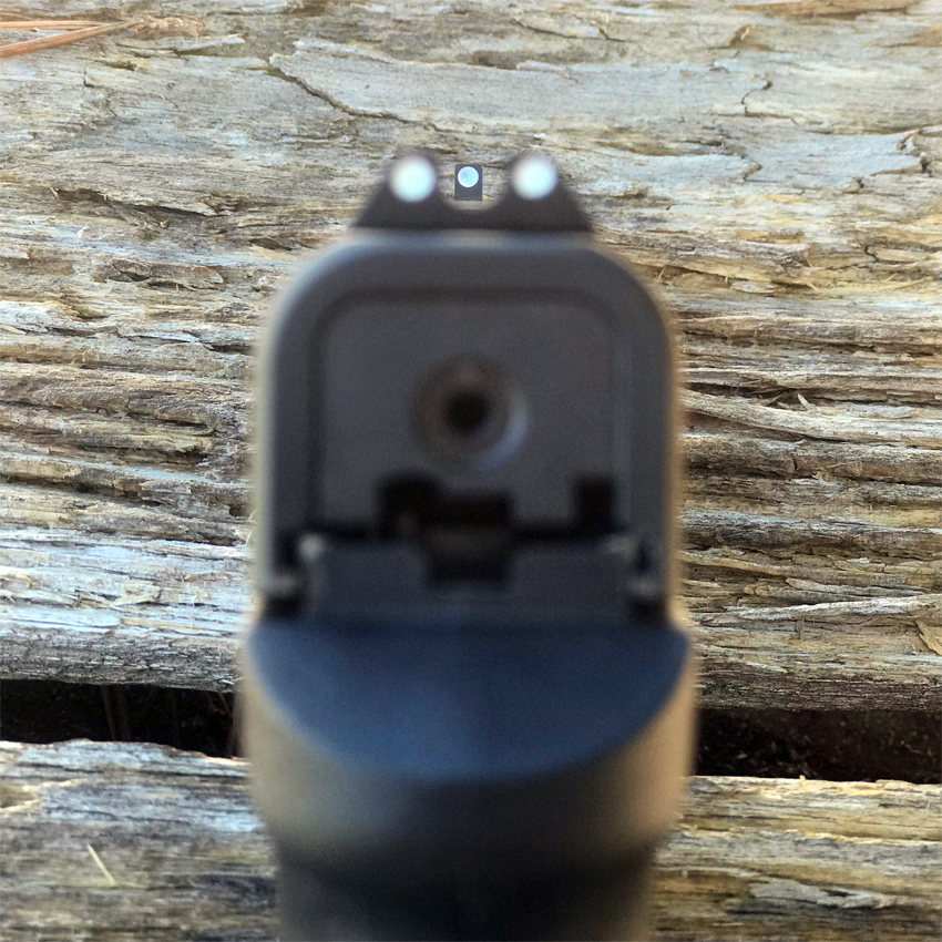 NEW Diamondback AM2 DARA HOLSTERS & GEAR